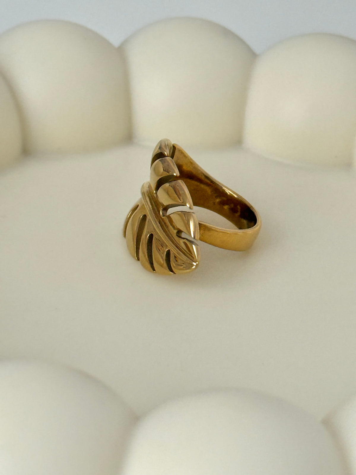 Tropical Leaf Ring